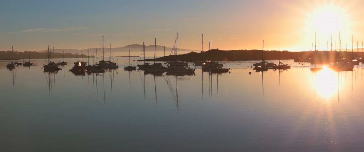 Oak Bay Half Marathon 10k and 5K
